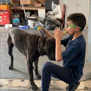 Meet your Posher, Edgar